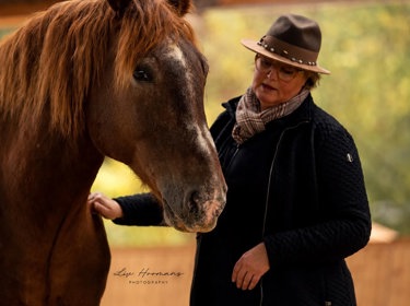Wat kan een paard jou laten zien?