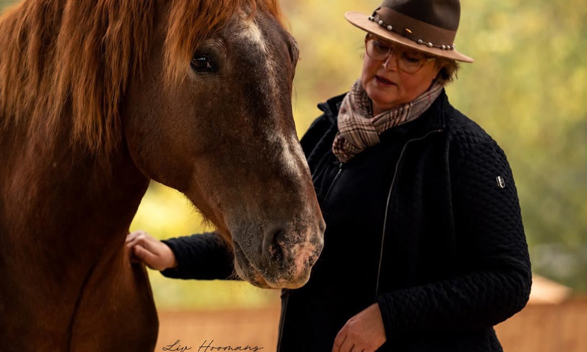 Wat kan een paard jou laten zien?