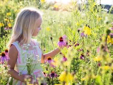 Little Girl 2516578 1280 (1)