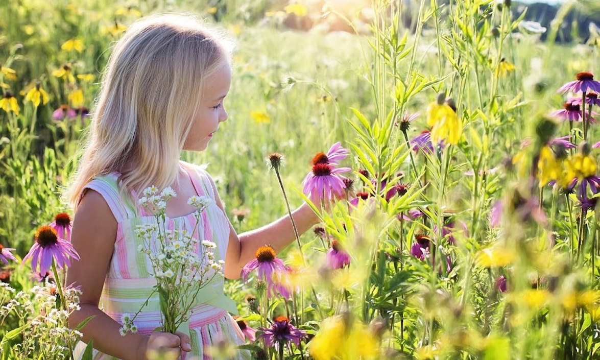 Little Girl 2516578 1280 (1)